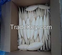 CHEAP CUTTLEFISH BONE - BEST PRICE & HIGH QUALITY - VIETNAM