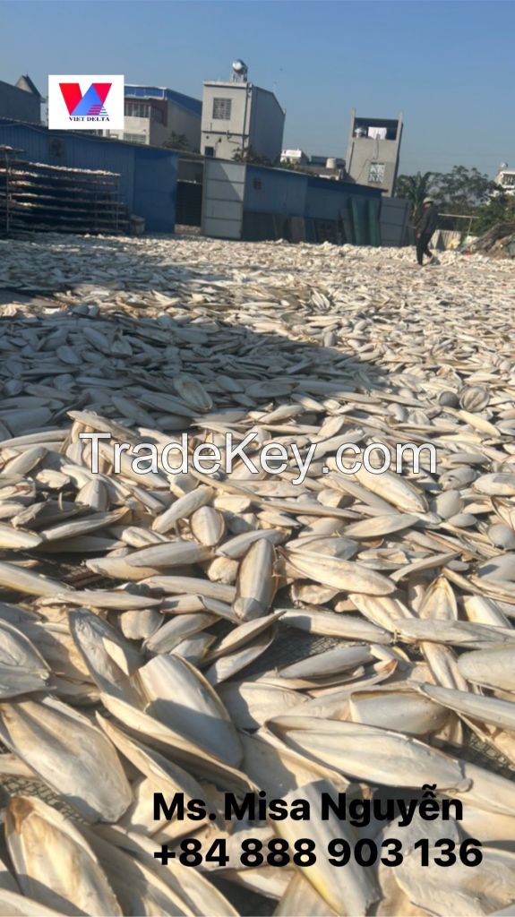 Best Supplier Dried CuttleFish Bone At The Best Price From Viet Nam