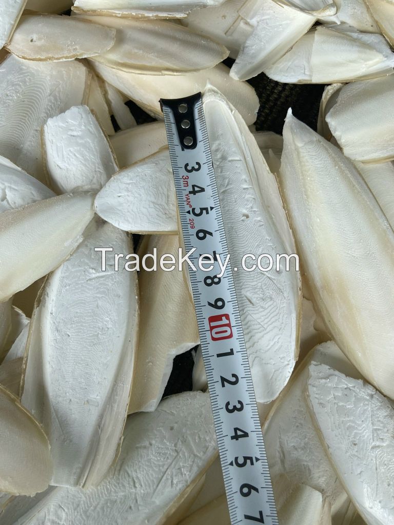 International Quality Cuttlebone Material Dried Cuttlefish Bone or Dried Cuttlebone Made from Vietnam Bag Packaging Body AD