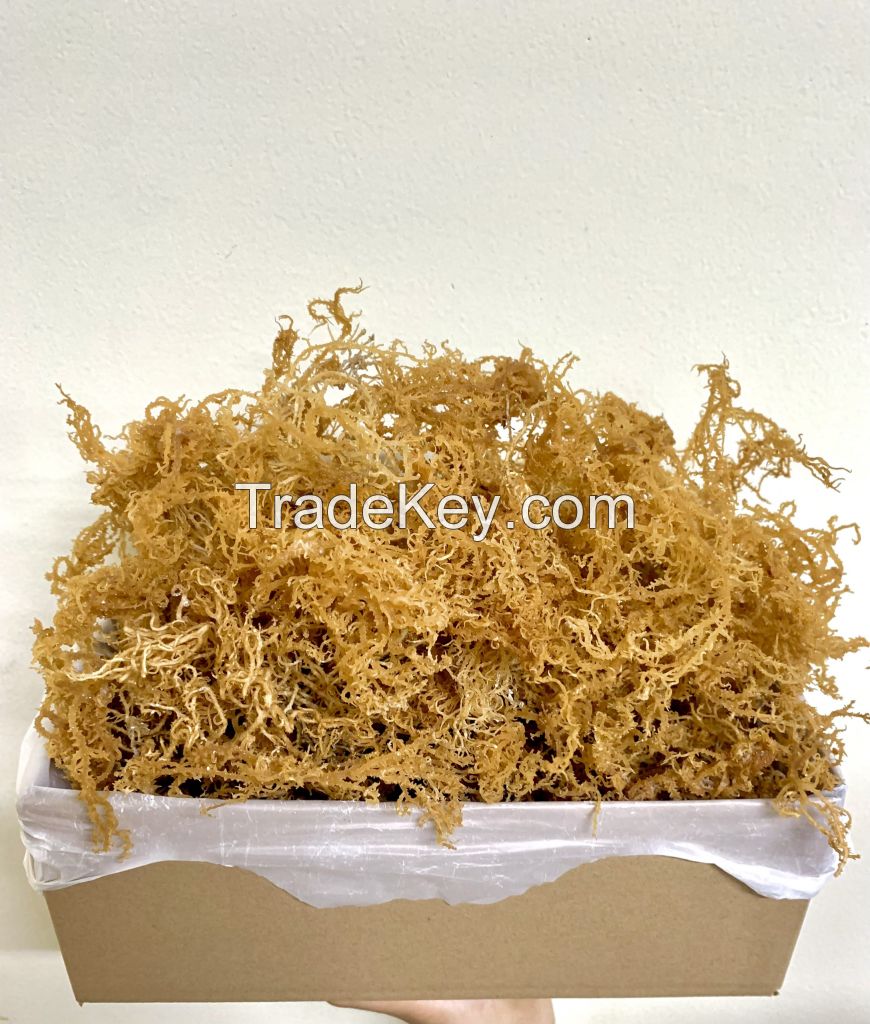 High Quality Culinary Grade Dried Sea Moss for Cooking and Soap Crafting Serena