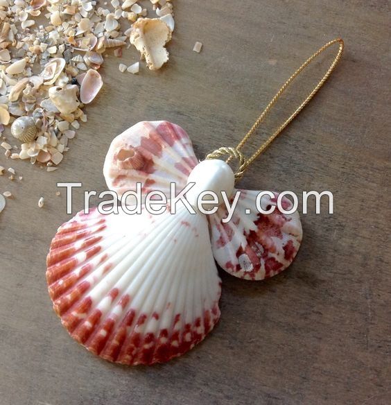 Customized High Quality Incredible promotional exotic brand new sea conch shell from Vietnam