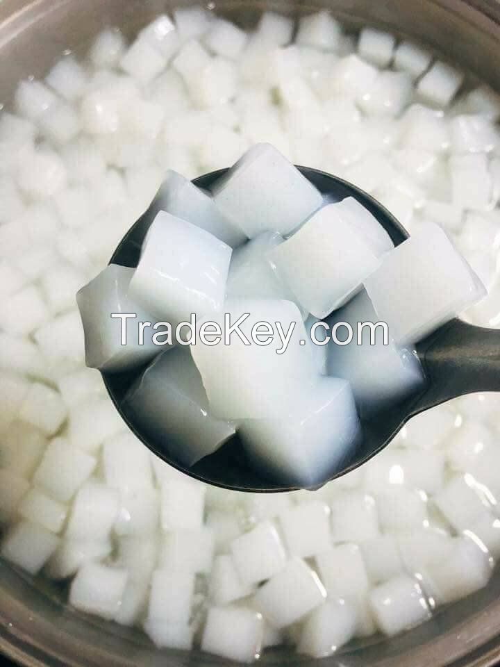 Hot Trending RAW NATA DE COCO in Syrup COCONUT JELLY from Vietnam for drink Serena