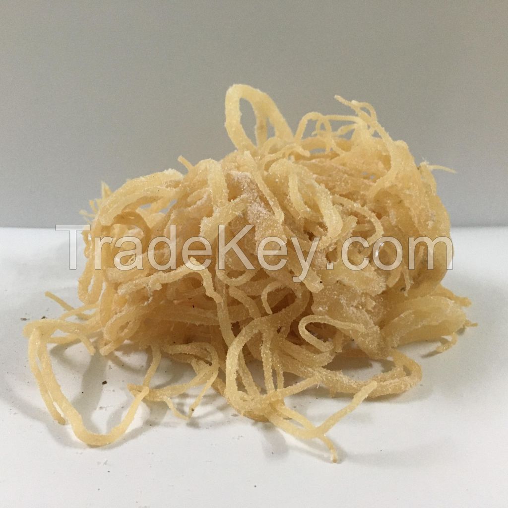 Vietnam 100% Oragnic Natural High Quality Gold Sea Moss from Vietnam