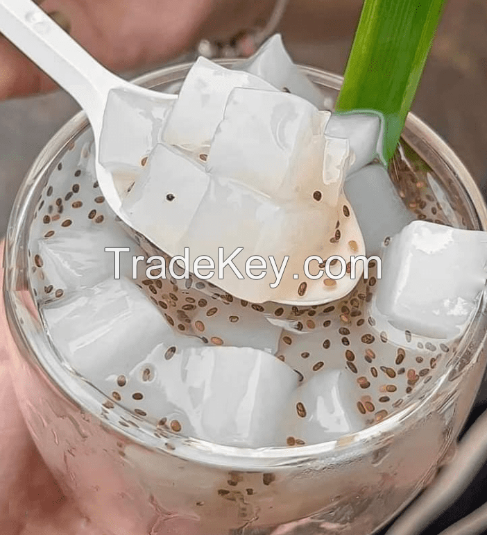 For Dessert Nata de Coco Made From Natural Coconut Origin In Vietnam With Best Quality