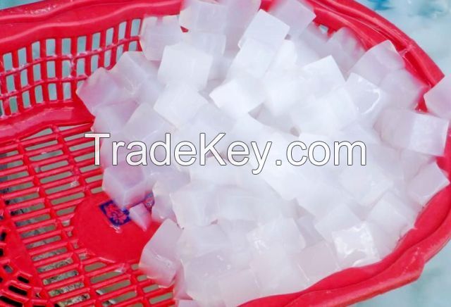 WHOLESALE NATA DE COCO JELLY COCONUT FROM VIETNAM BEST PRICE FOR YOUR CHOICE  Serena
