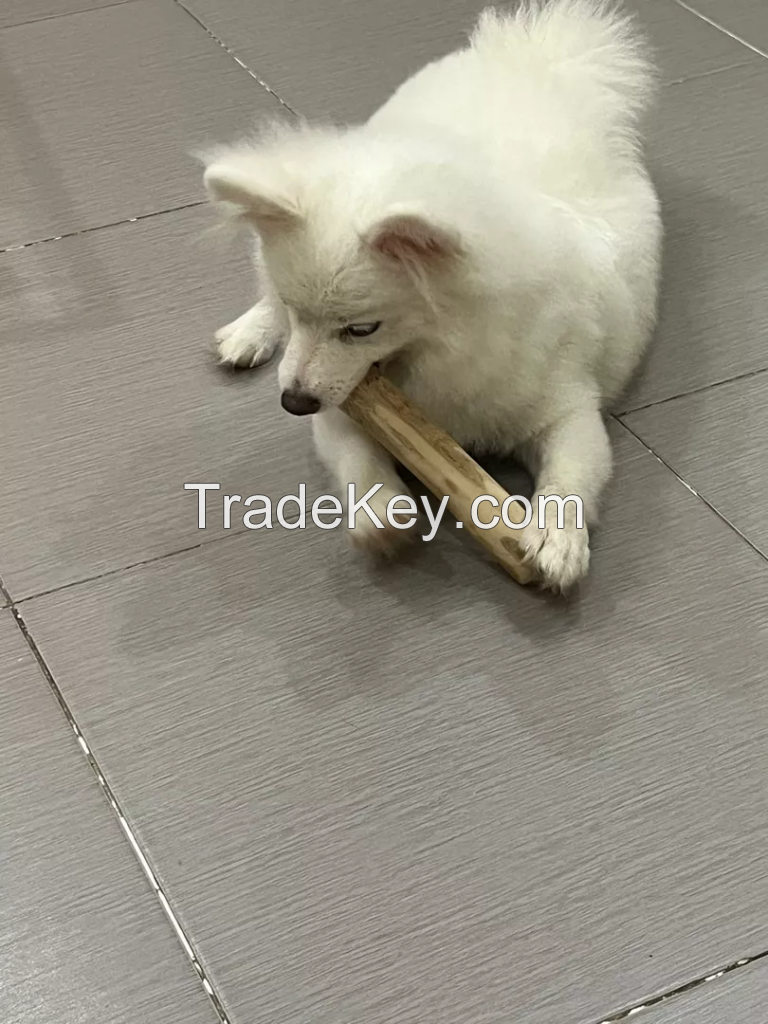 Special Dog Gift - Coffee Dog Chew- 100% Coffee Wood- Good for Pet Teeth