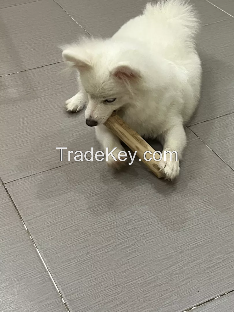 WHOLESALE COFFEE WOOD CHEW STICK FOR DOG MADE IN VIETNAM GOOD PRICE 2023
