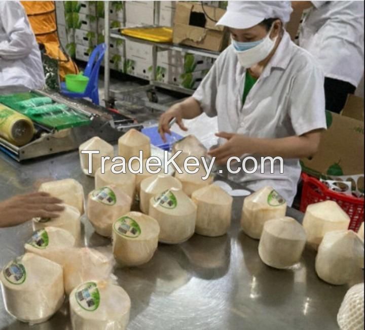 FRESH YOUNG COCONUT - HIGH QUALITY - COMPETITIVE PRICE FROM VIETNAM