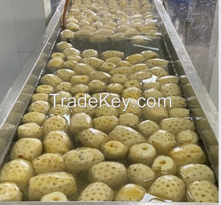 CANNED PINEAPPLE SLICES IN LIGHT SYRUP - HIGH QUALITY - COMPETITIVE PRICE FROM VIETNAM