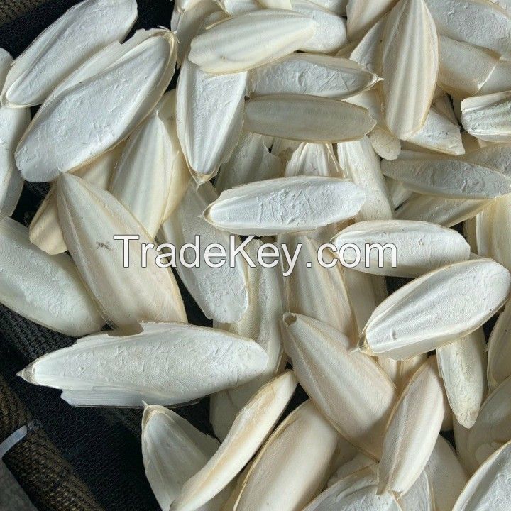 Good price, The biggest supplier Dried Cuttle fish bone from Vietnam