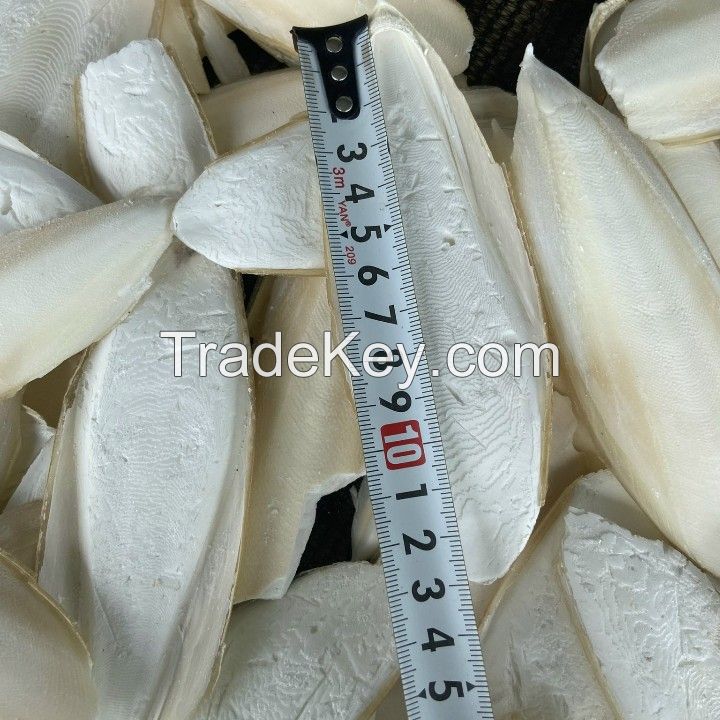 FRESH CUTTLEFISH BONE FOR BEST PRICE | 100% NATURAL DRIED WASHED CUTTLE FISH BONE