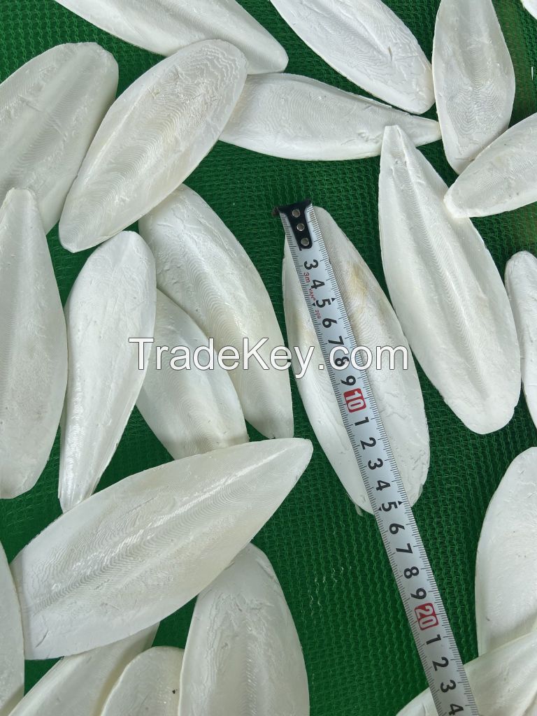 DRIED CUTTLEFISH BONE WITH REASONABLE PRICE AND GOOD QUALITY IN VIETNAM