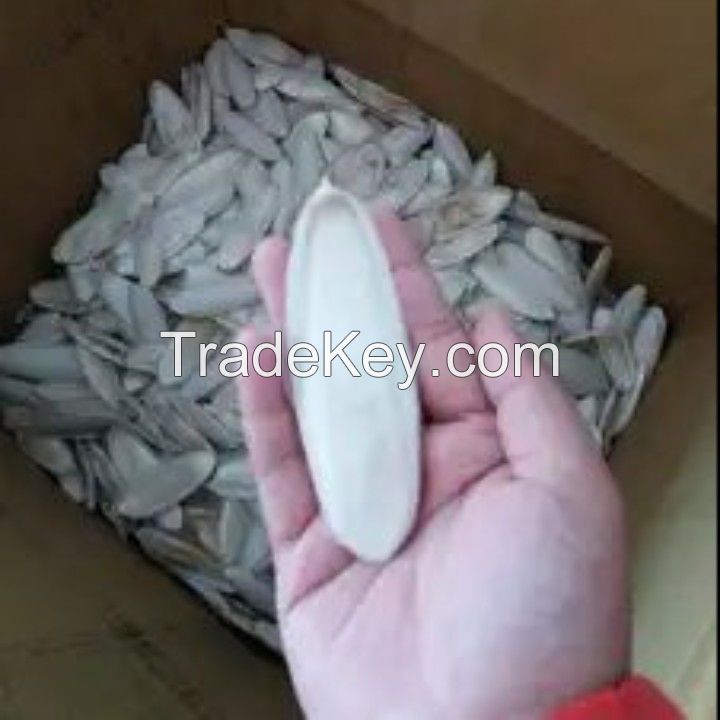 Bird Munchies Cuttlefish Bone With very cheap price from Vietnam