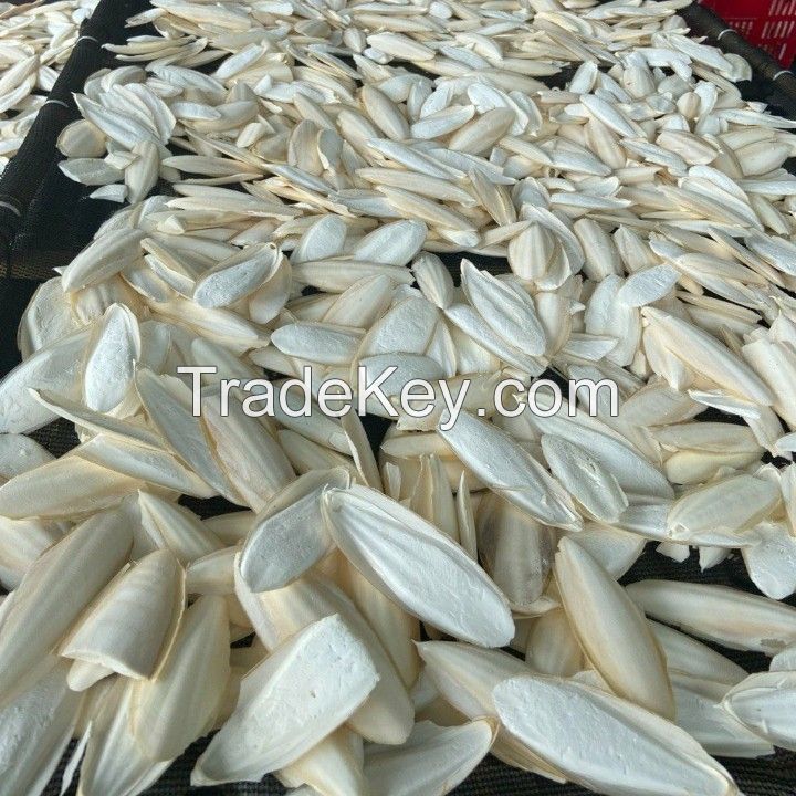 The Best Quality Cuttlefish Bone - Cuttlebone/100% Pure Cuttlefish Bone From Vietnam