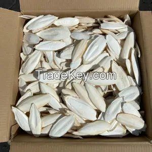 Vietnam Dried Natural White Cuttlefish Bone Bird Food Squid Bone Cuttle Fish Bones Bird Nutrition Supplement