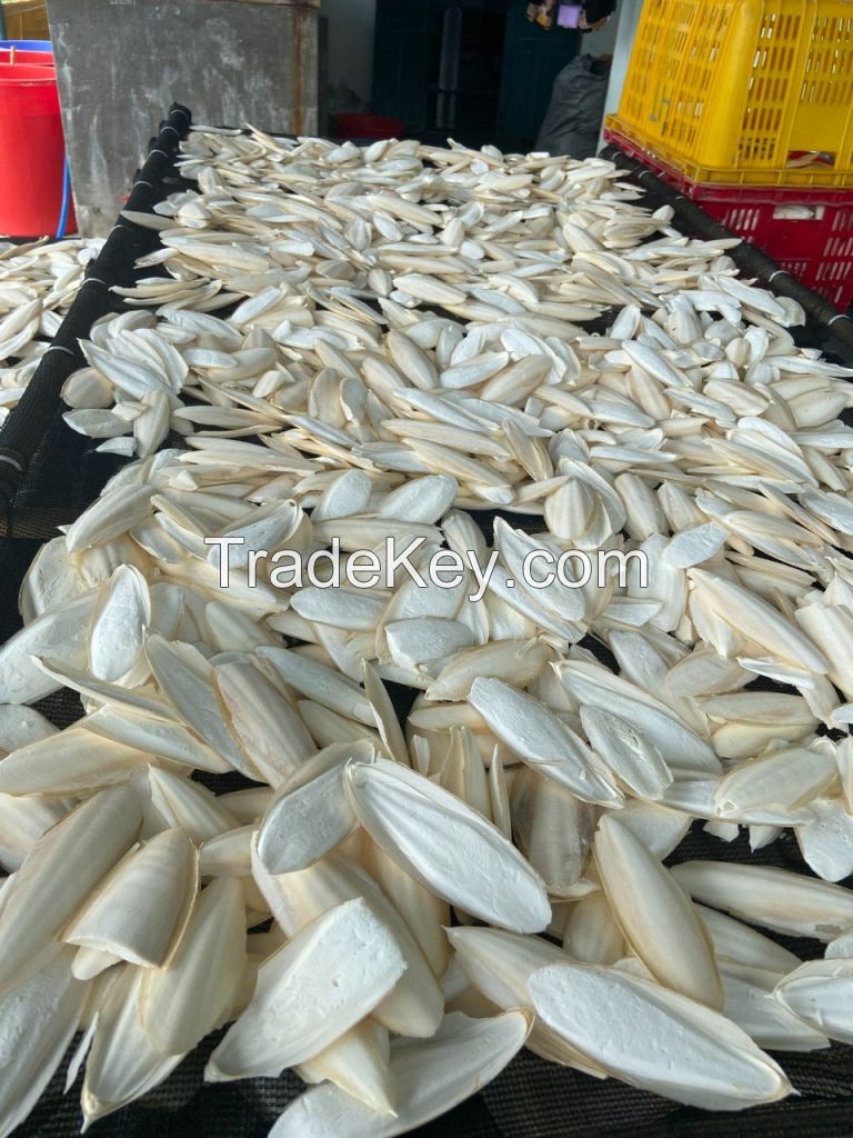 Bird Food NATURAL CUTTLE FISH BONE Dried SQUID BONE WHITE CUTTLEFISH BONE NATURAL Best Price from Vietnam Bird Nutrition