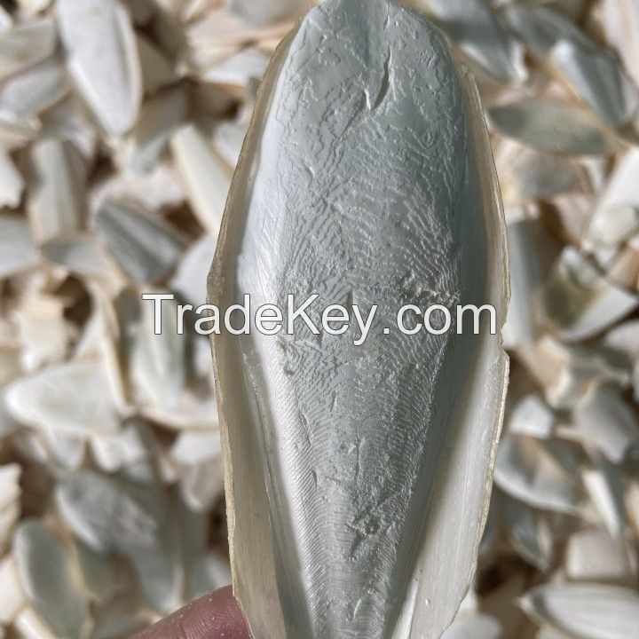 Natural Dried Cuttlefish Bone Parrot Food Pet Treats Vietnam High Quality and Competitive Price