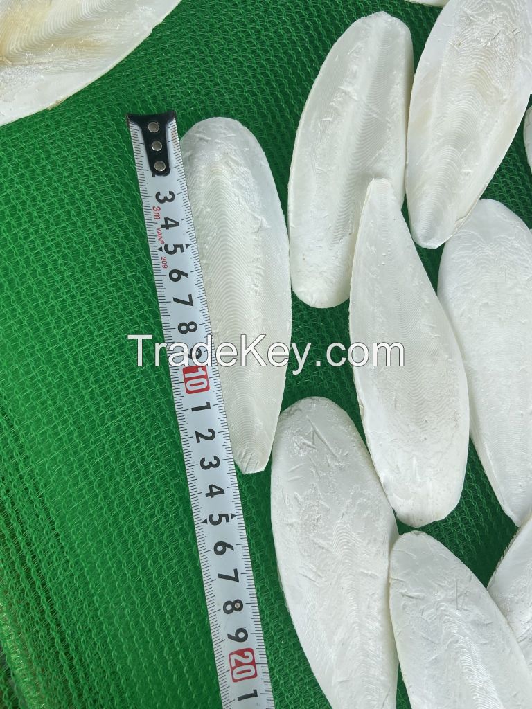 International Quality Cuttlebone Material Dried Cuttlefish Bone or Dried Cuttlebone Made from Vietnam Bag Packaging Body AD