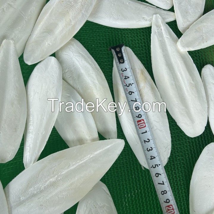 Good price, The biggest supplier Dried Cuttle fish bone from Vietnam