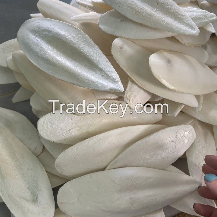 Poultry Feed With High Quality Clean Cuttlefish Bone No Broken In The Best Rate For Bird Feed From Vietnam