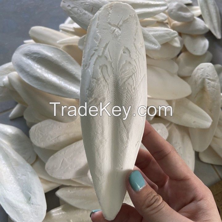 SUN-DRIED CUTTLEFISH BONE / NATURAL SOURCE / ECO-FRIENDLY / MADE IN VIETNAM