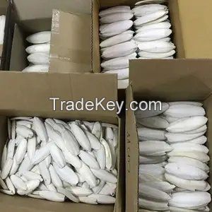 High Quality Dry Cuttlefish Bone Cuttlebone 100% Natural from Vietnam