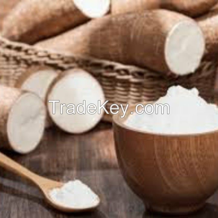 Factory Manufacture Bulk Quality Tapioca Starch Made in Vietnam Ensuring High Quality Modified
