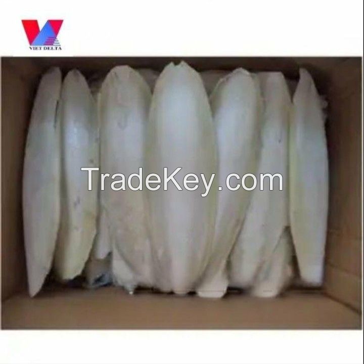 High Quality Dry Cuttlefish Bone Cuttlebone 100% Natural from Vietnam