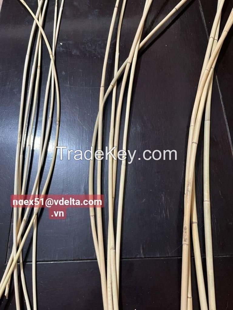 100% Natural Raw Rattan Comes From Vietnam