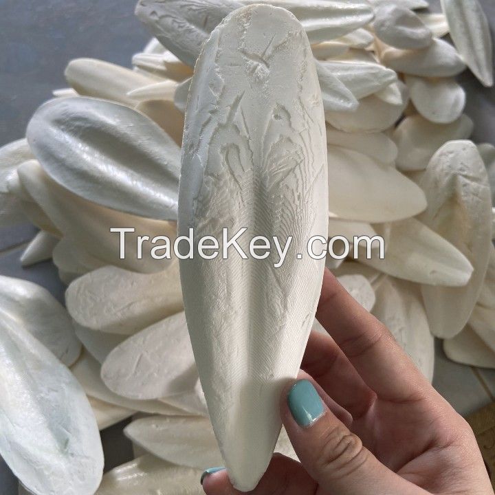 Cheap natural cuttlefish bones from Vietdelta Vietnam