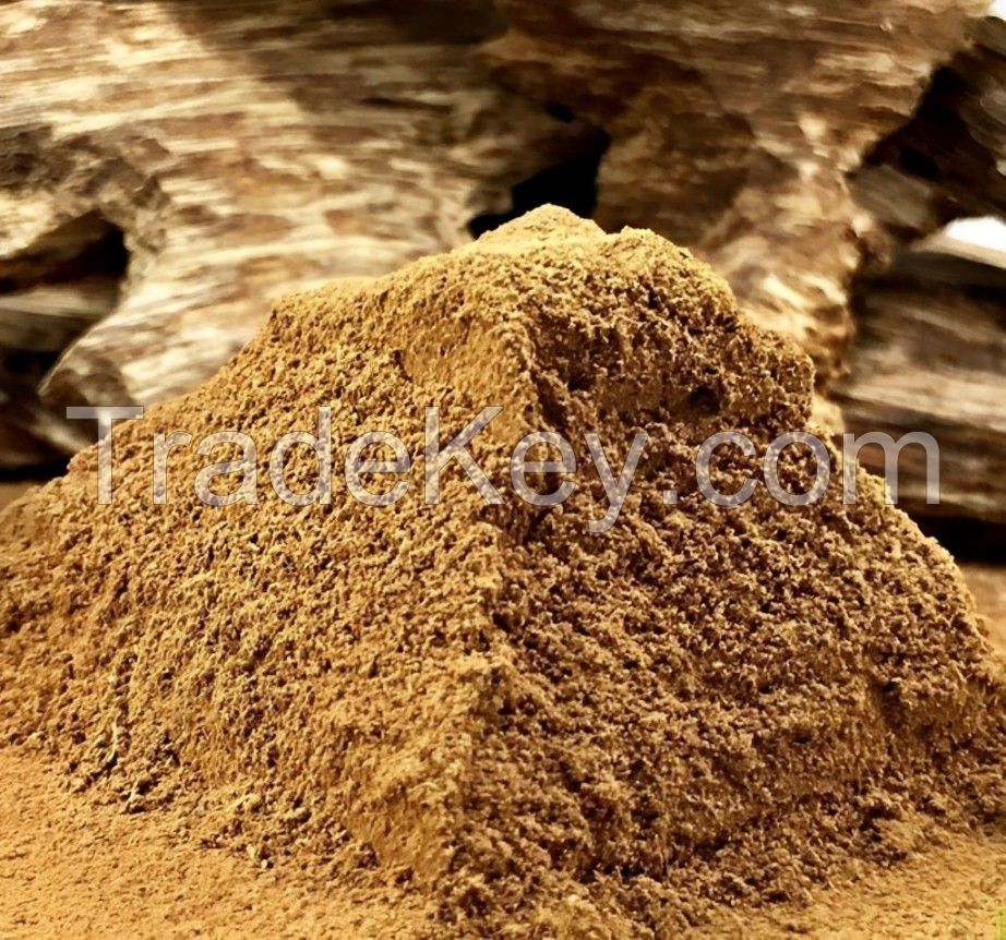 Wholesale Incense Powder Made Quality Sandalwood For Incense Production From Vietnam