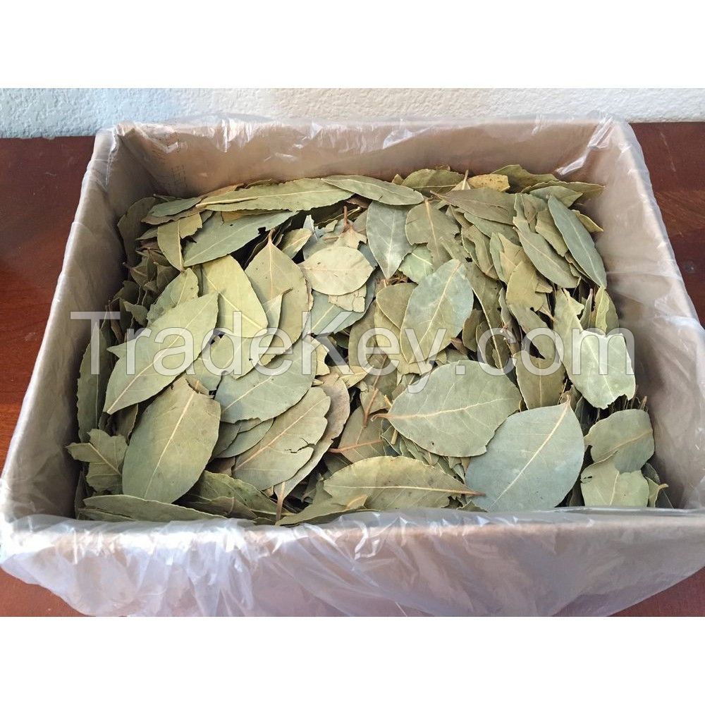 Dried Bay Leaves 100% Natural Ingredients Add Flavor To Your Dishes