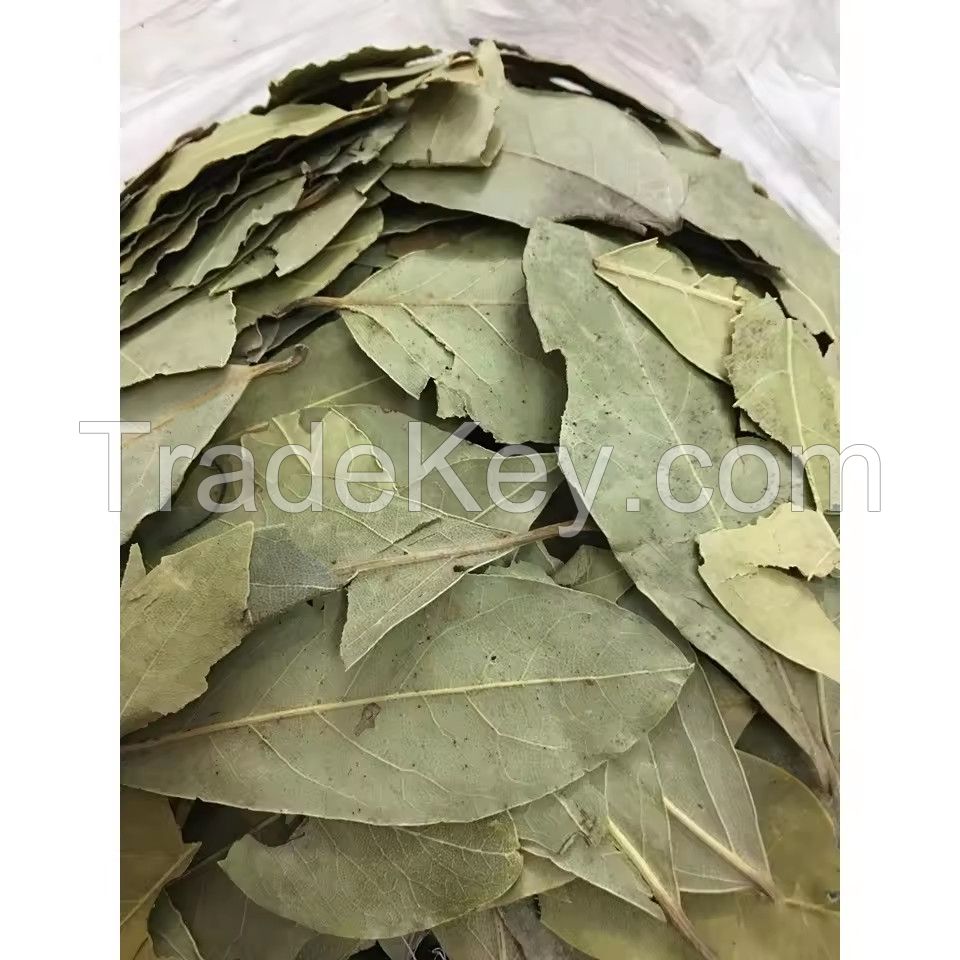 100% Natural Dried Bay Leaves Dried Laurel Leaves - High Quality - Special Price From Vietnam