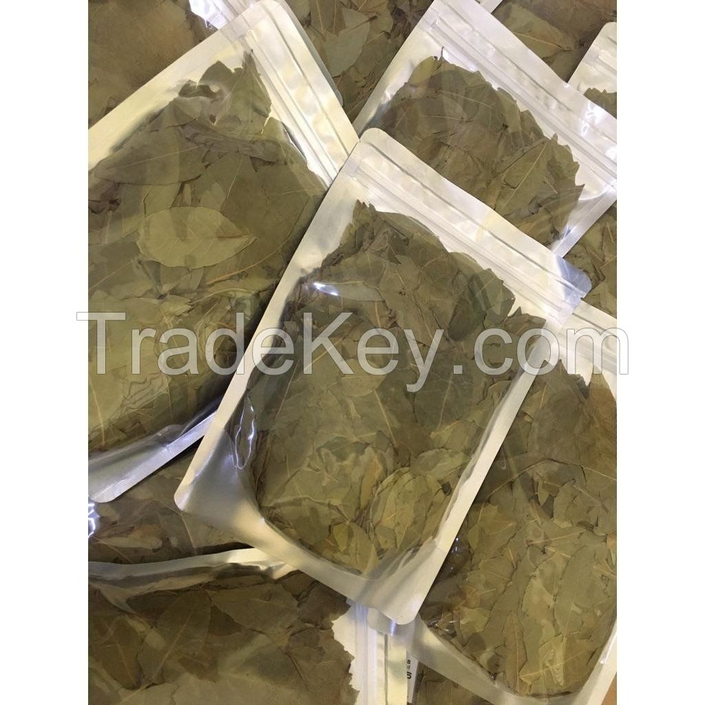 Wholesale Vietnamese Dried Bay Leaf At Low Price Meet Export Standards