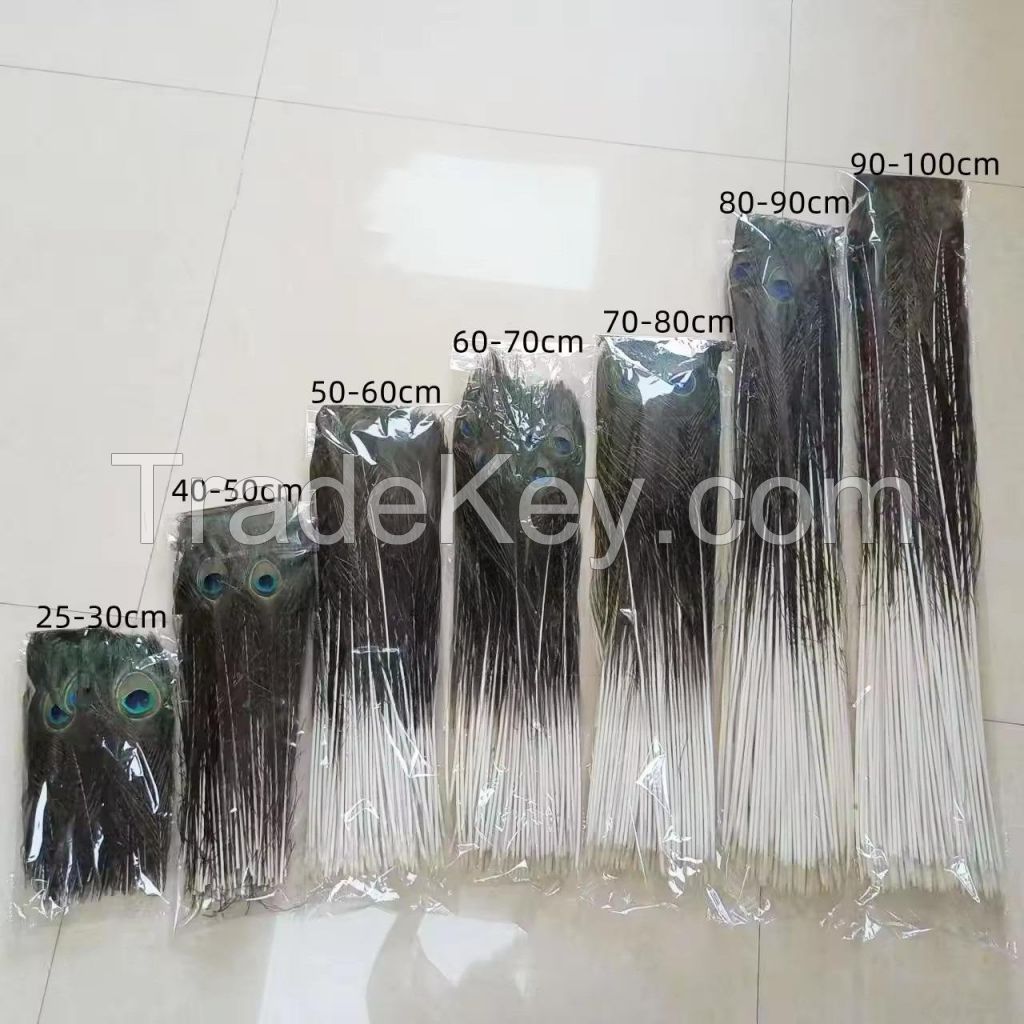 Wholesale 25 to 100 Cm Natural Peacock Feathers With Competitive Price/Real Peacock Feathers For Crafts &amp; Home Decoration