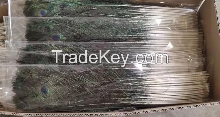 100% High Quality Natural Peacock Feathers Are Used As Home Decoration Jewelry For Sale At Low Price