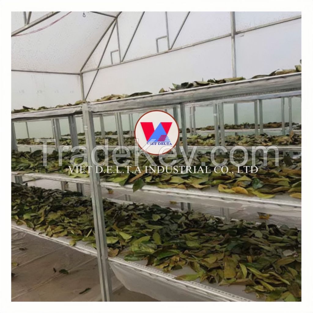 NATURAL DRIED SOURSOP LEAF WITH HIGH QUALITY AND LOW PRICE 100% NATURAL