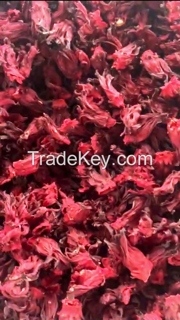 Organic all natural dried Hibiscus flower Top selling with good price in large quantity from Vietnam