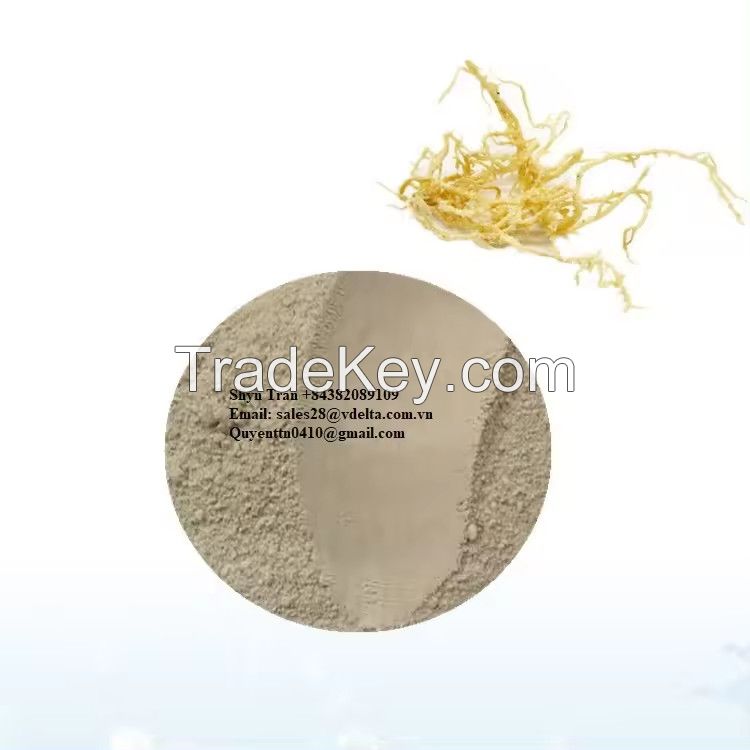 High quality Cheap Price Export in Bulk Carrageenan For Jelly Powder/ Sea Moss Powder/ Carrageenan Powder From Vietnam