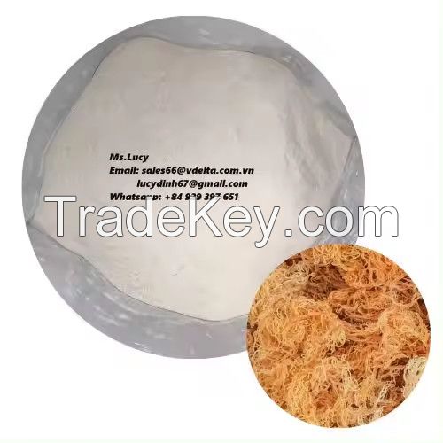 High Quality Carrageenan Powder White Seaweed Powder with The Best Price From Vietnam