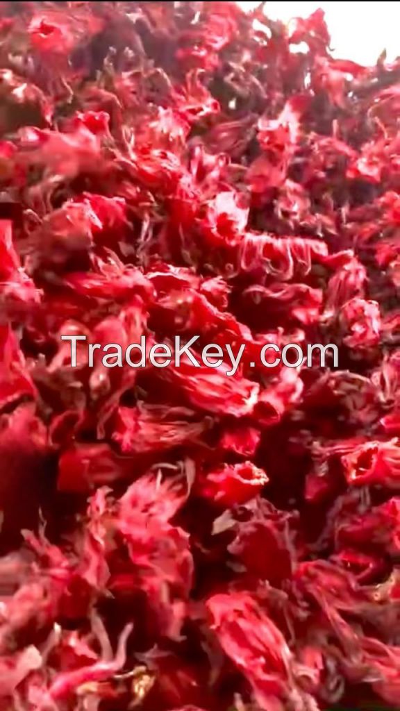 Premium quality best selling organic dried hibiscus flowers in bulk for wholesale from Vietnam
