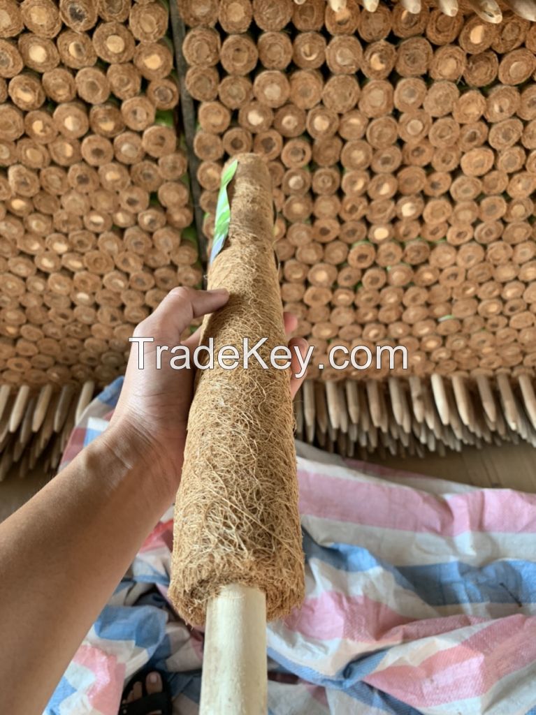 Coco Fiber Product /Viet name Factory Coconut Coir Moss Pole / Plant Moss Vietnam Coir Totem Pole