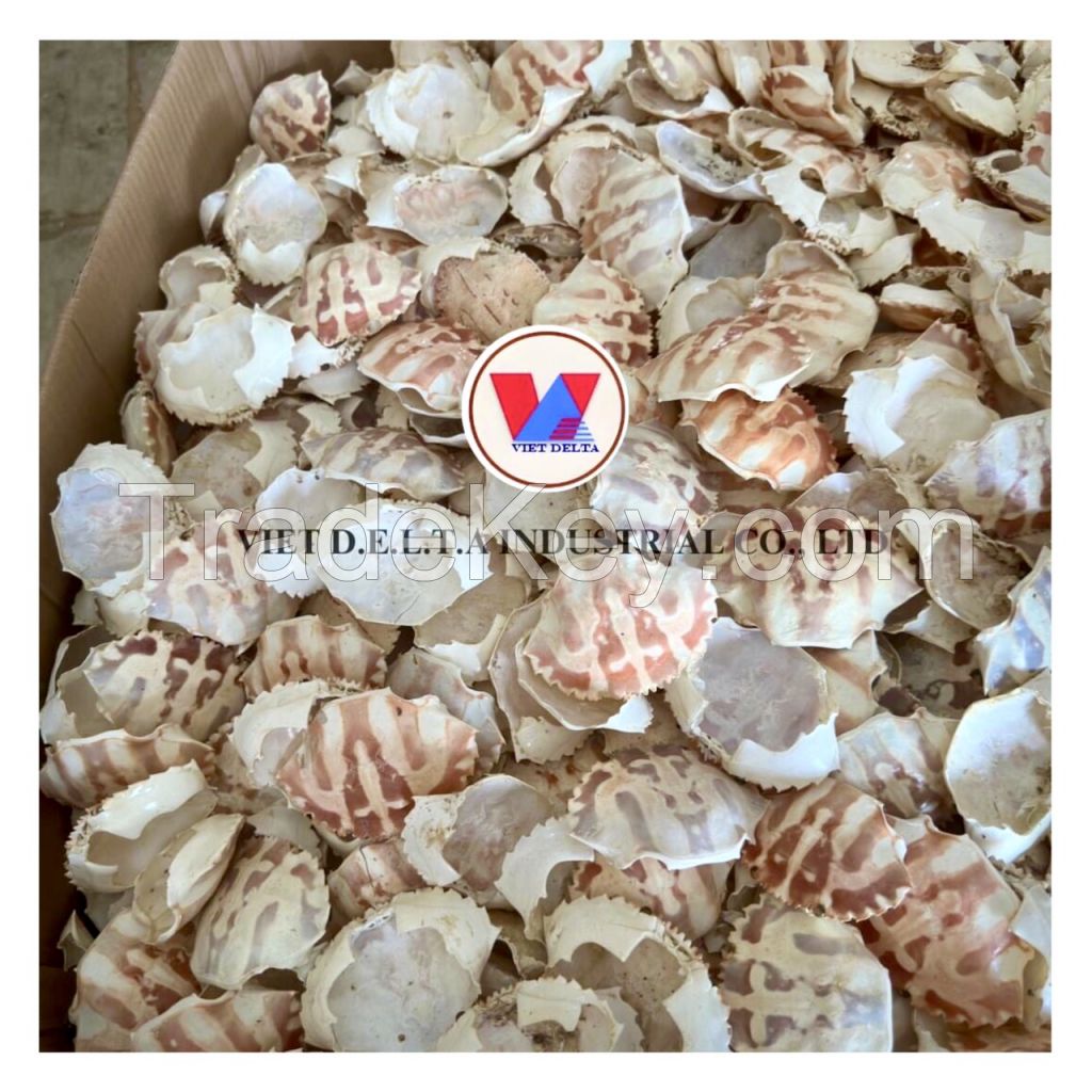 100% NATURAL - VIETNAM MANUFACTURER DRIED CRAB SHELLS FROM VIETNAM FOR DECORATION