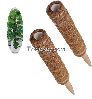 High Quality And Cheap Price Coir Pole Sticks For Indoor Decoration From Vietnam