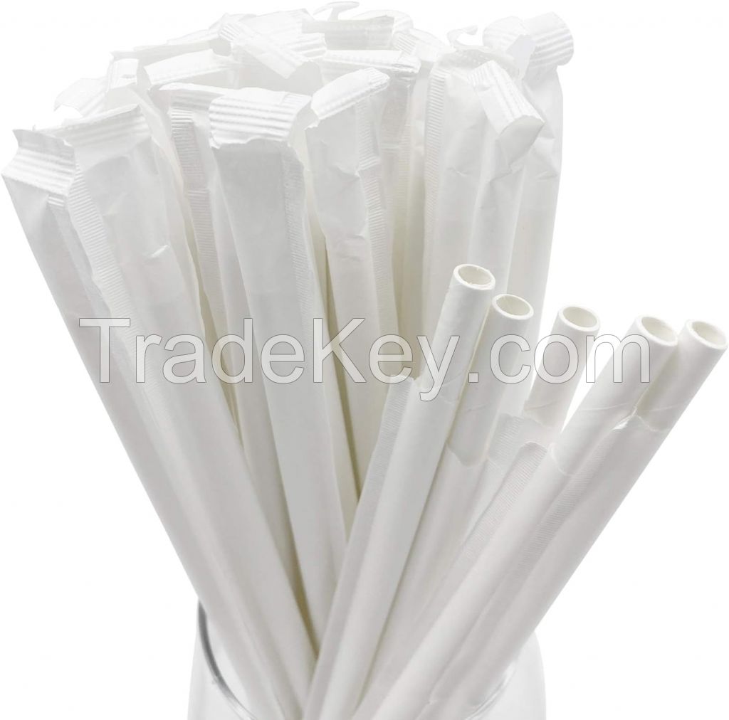 Eco Friendly Biodegradable Compostable Sugarcane Bagasse Disposable