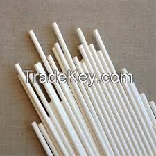 Eco Friendly Biodegradable Compostable Sugarcane Bagasse Disposable