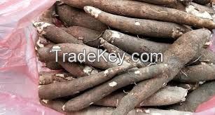 Natural cassava, Tapioca starch, Premium Frozen Grated Cassava For Cooking Frozen Tapioca From 99 Gold Data Vietnam to make delicious cakes and candies