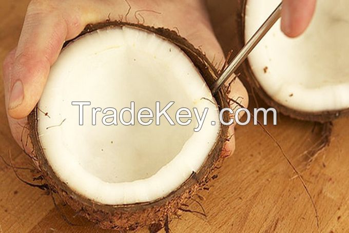 WHOLE BULK DRIED COCONUT/ DRIED COCONUT/ COCONUT COPRA high quality from VietNam