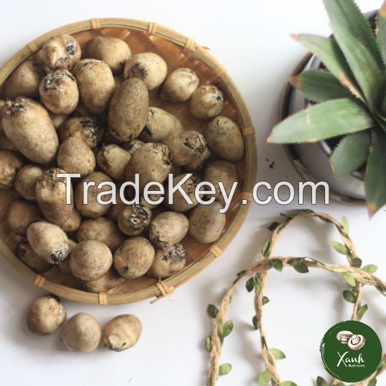 WHOLESALE EXPORT! STRAW MUSHROOM from Vietnam/ HIGH QUALITY with REASONABLE PRICE