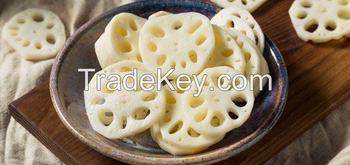 FROZEN LOTUS ROOT from Vietnam - High quality - Good price